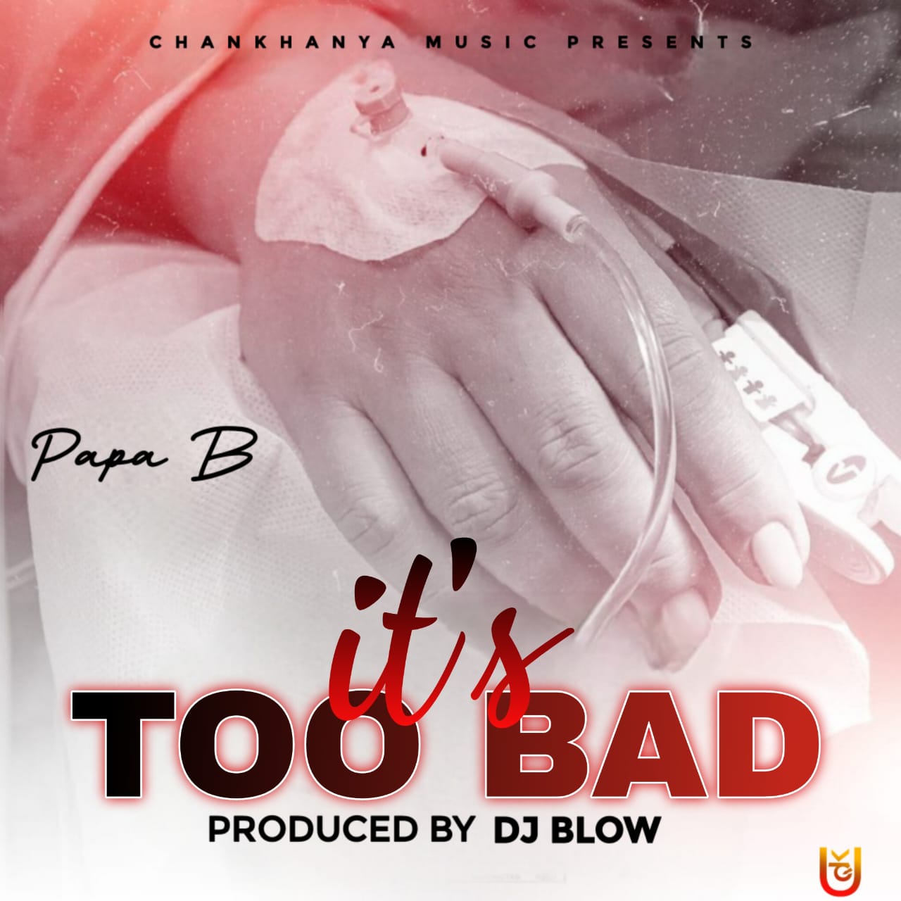 Papa B _ its too bad